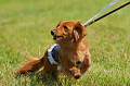 050918_sports_D-1230_thumb.png