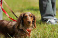050918_sports_D-1231_thumb.png