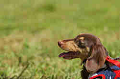 050918_sports_D-1232_thumb.png