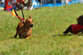 050918_sports_D-1234_thumb.png