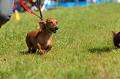 050918_sports_D-1235_thumb.png