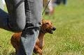 050918_sports_D-1236_thumb.png
