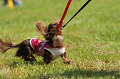 050918_sports_D-1237_thumb.png