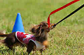 050918_sports_D-1239_thumb.png