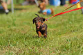 050918_sports_D-1240_thumb.png