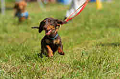 050918_sports_D-1242_thumb.png