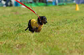 050918_sports_D-1245_thumb.png