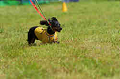 050918_sports_D-1246_thumb.png