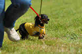 050918_sports_D-1248_thumb.png