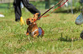 050918_sports_D-1253_thumb.png