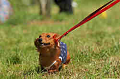 050918_sports_D-1254_thumb.png
