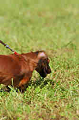 050918_sports_D-1257_thumb.png
