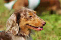 050918_sports_D-1272_thumb.png