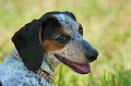 050918_sports_D-1276_thumb.png