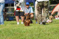 050918_sports_D-1278.jpg