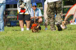 050918_sports_D-1279.jpg