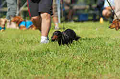 050918_sports_D-1280_thumb.png