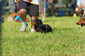050918_sports_D-1281_thumb.png