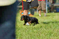 050918_sports_D-1282_thumb.png