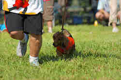 050918_sports_D-1283.jpg