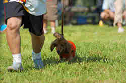 050918_sports_D-1284.jpg