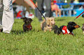 050918_sports_D-1287_thumb.png