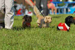 050918_sports_D-1288.jpg