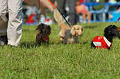 050918_sports_D-1288_thumb.png