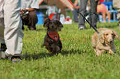 050918_sports_D-1289_thumb.png