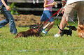 050918_sports_D-1291_thumb.png