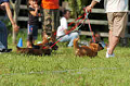 050918_sports_D-1294_thumb.png