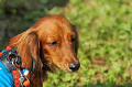 050918_sports_D-1298_thumb.png