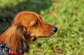 050918_sports_D-1300_thumb.png