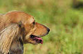 050918_sports_D-1302_thumb.png