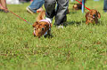 050918_sports_D-1308_thumb.png
