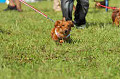 050918_sports_D-1309_thumb.png