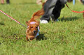 050918_sports_D-1310_thumb.png