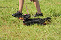 050918_sports_D-1320_thumb.png