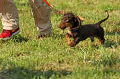 050918_sports_D-1326_thumb.png