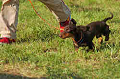 050918_sports_D-1327_thumb.png