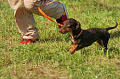 050918_sports_D-1328_thumb.png