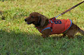 050918_sports_D-1331_thumb.png