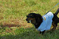 050918_sports_D-1335_thumb.png