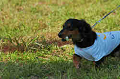 050918_sports_D-1336_thumb.png