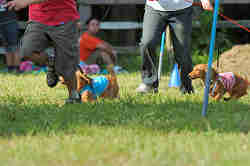 050918_sports_D-1338.jpg