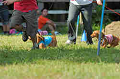 050918_sports_D-1338_thumb.png