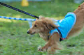 050918_sports_D-1341_thumb.png