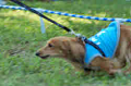 050918_sports_D-1342_thumb.png