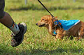 050918_sports_D-1348_thumb.png