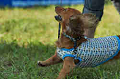 050918_sports_D-1350_thumb.png